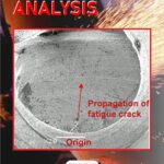 Beneath a Scarlet Sky: A Novel